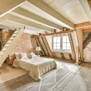 force-loft11(1)