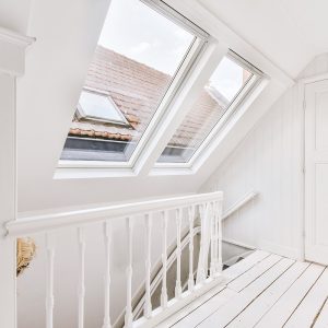 force-loft4(1)