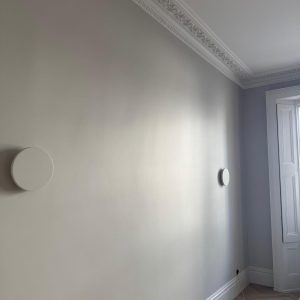 pimlico185