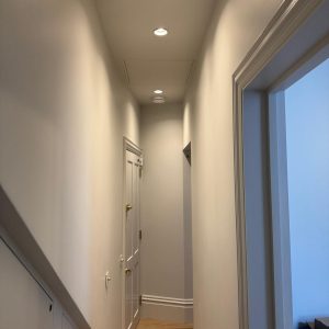 pimlico239