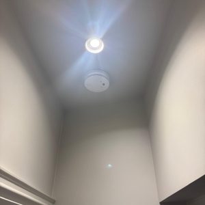 pimlico255